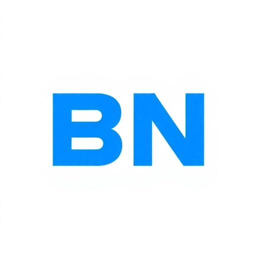 BN Elektronik logo